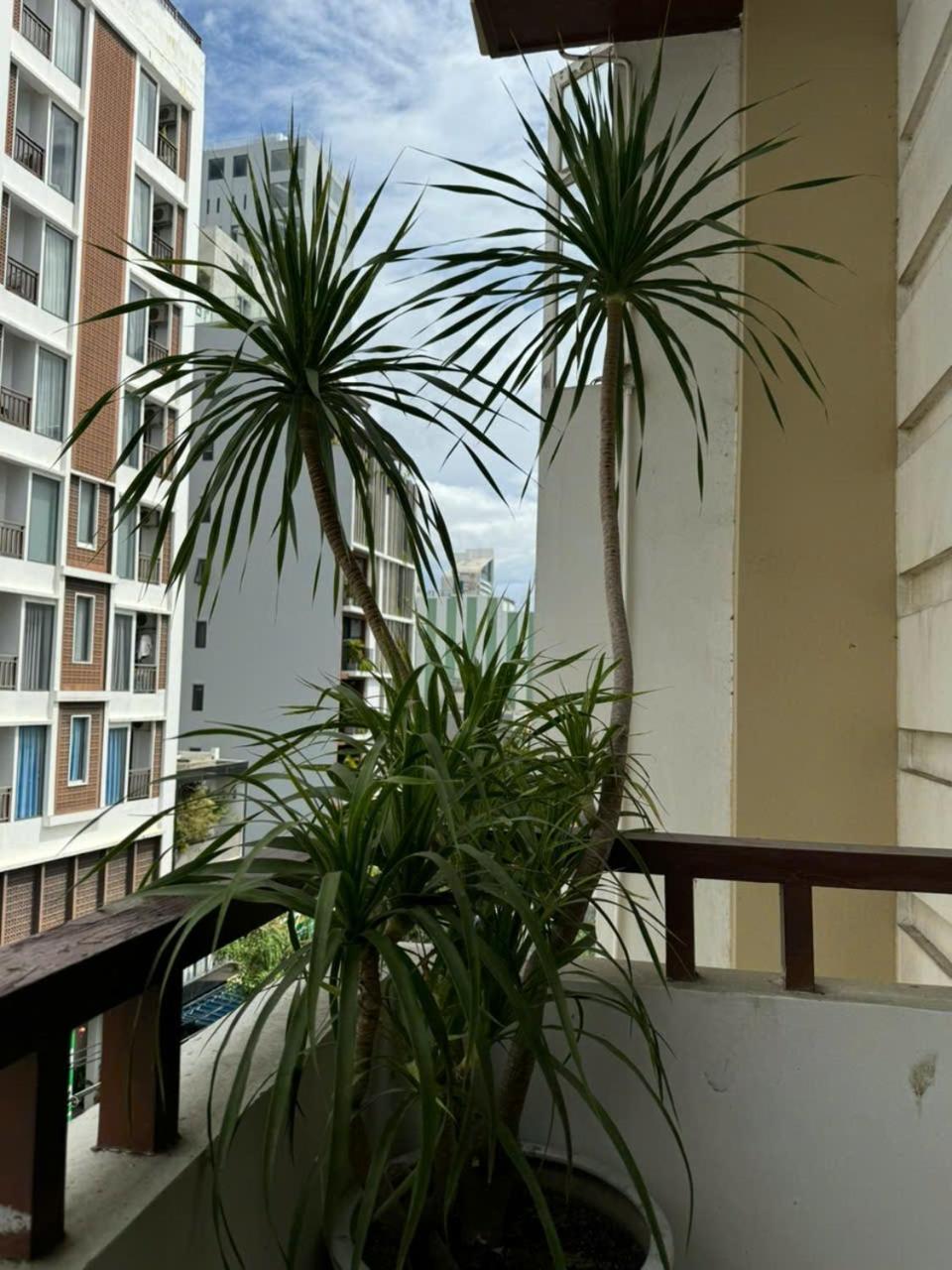 Thanh Hien Hb Hotel Da Nang Exterior foto